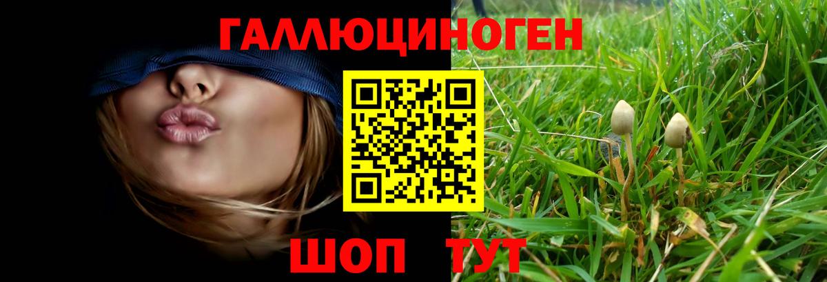 хочу наркоту  Вход с VPN  Псилоцибиновые грибы Magic Shrooms  Учалы  Галлюциногенные грибы ЛСД 