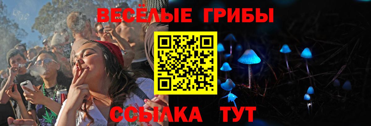 Галлюциногенные грибы Psilocybine cubensis Учалы